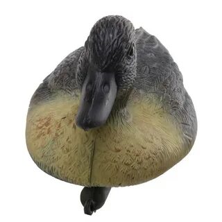Утка мужская