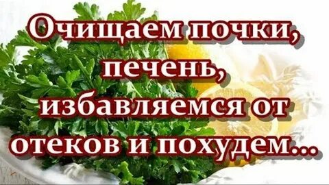 Здоровье почки печень