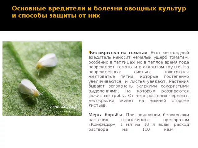 Методическая разработка интегрированного урока профессионального модуля с исполь