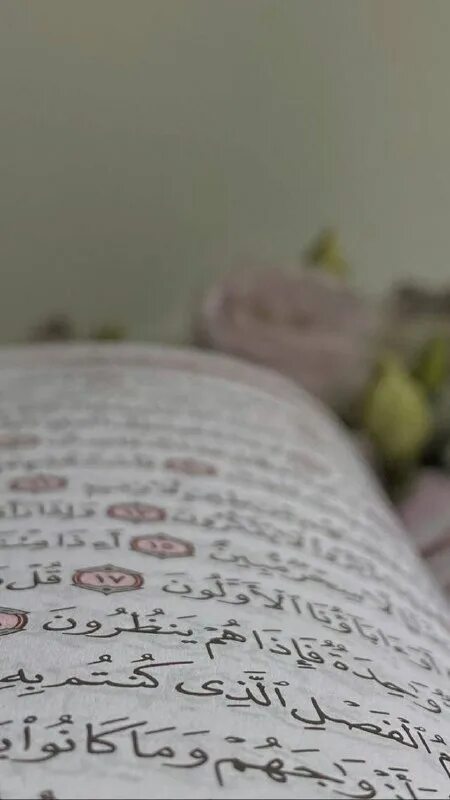 71 28 коран. коран 28. коран 28:24. радужный коран. 18.