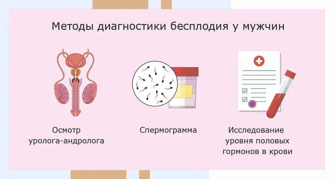 Диагностика бесплодия. Диагностика мужского бесплодия. Методы диагностики бесплодия. Методы диагностики мужского бесплодия. Бесплодие у мужчин после