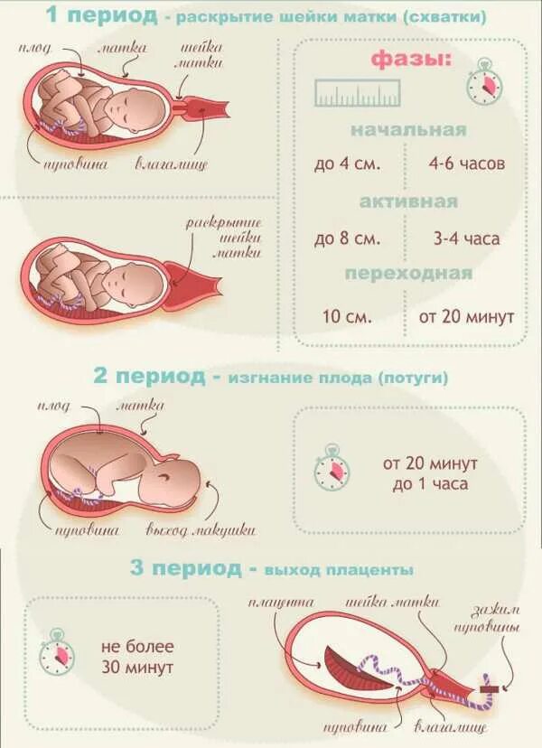 Как проходит схватка