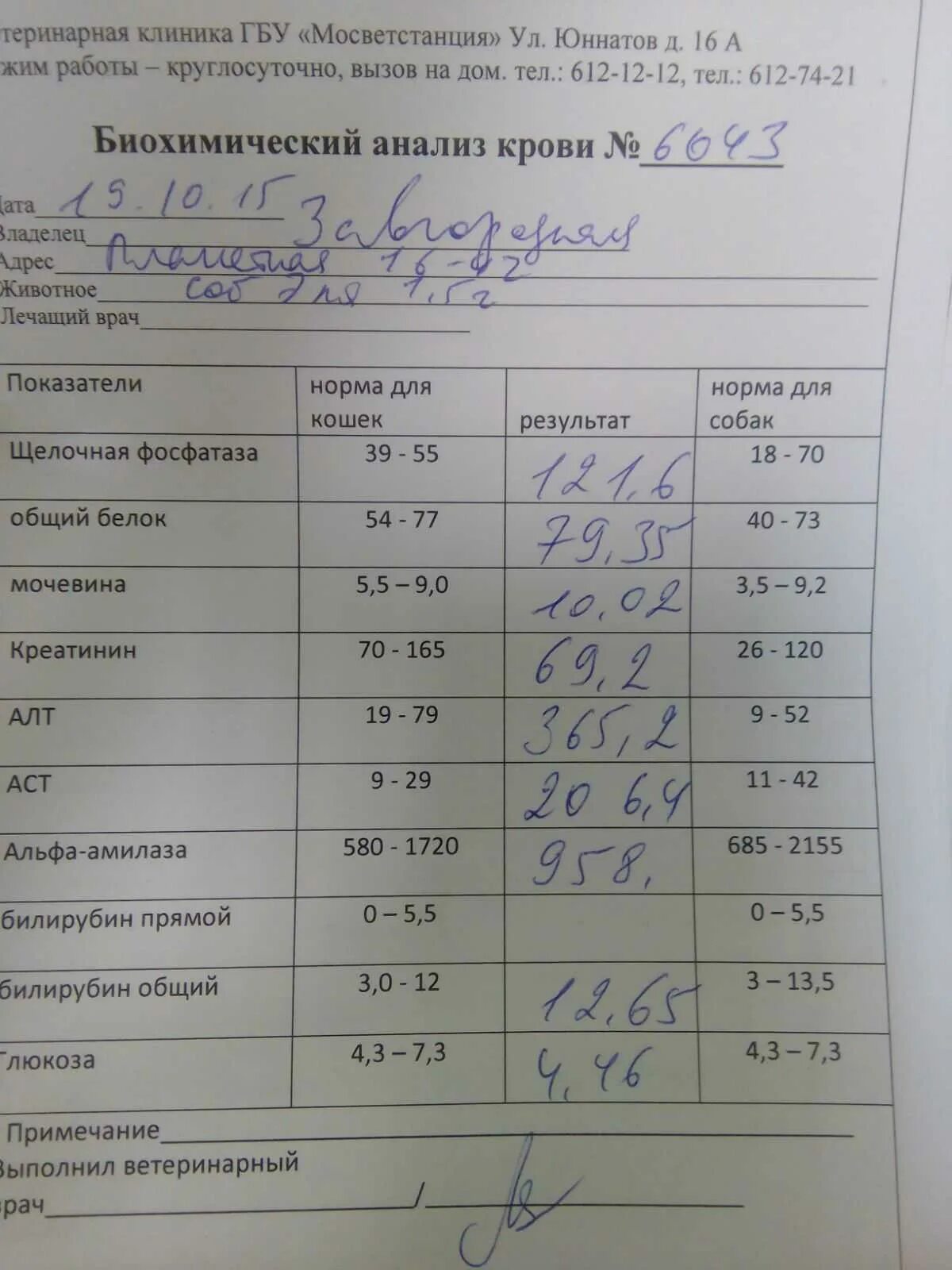 Центр крови сколько. Анализ крови в поликлинике. Клиника анализ крови. Поликлиника для общих анализов. Анализ биохимия крови в поликлинике.