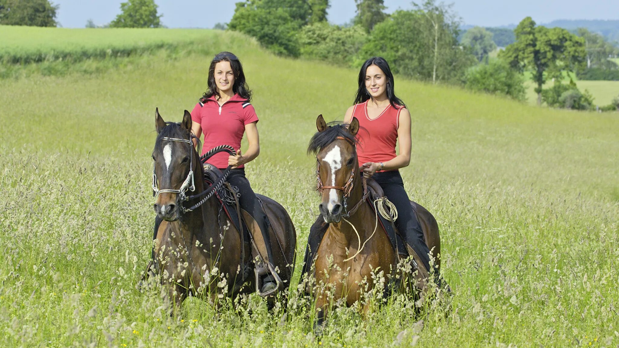 Women riding men. Прогулка верхом на лошади. Девушка с лошадью. Конная прогулка в поле. Фотосессия с лошадьми.