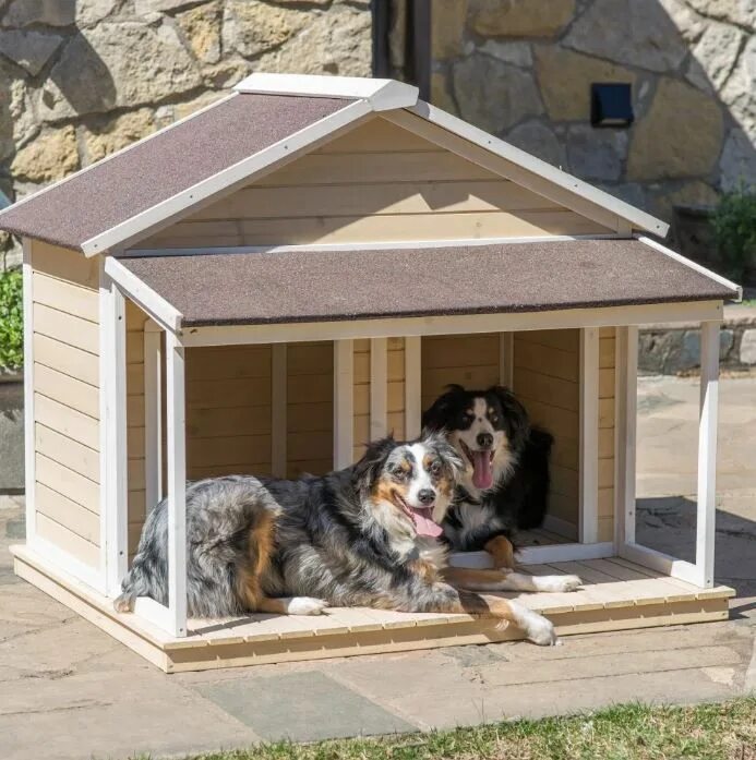 Dog house dog or alive demo. Собачья конура будка. Bama Pet будка для собак Bungalow l 101х94х77h см, пластик, зеленая. Дом для собаки. Красивые домики для собак.