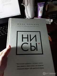 Ни сы 2