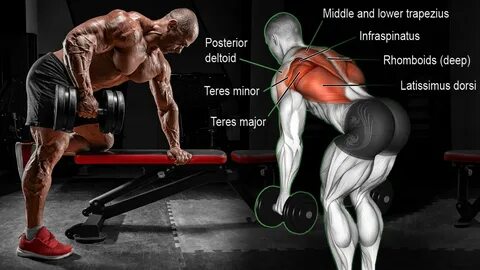Bent rowing