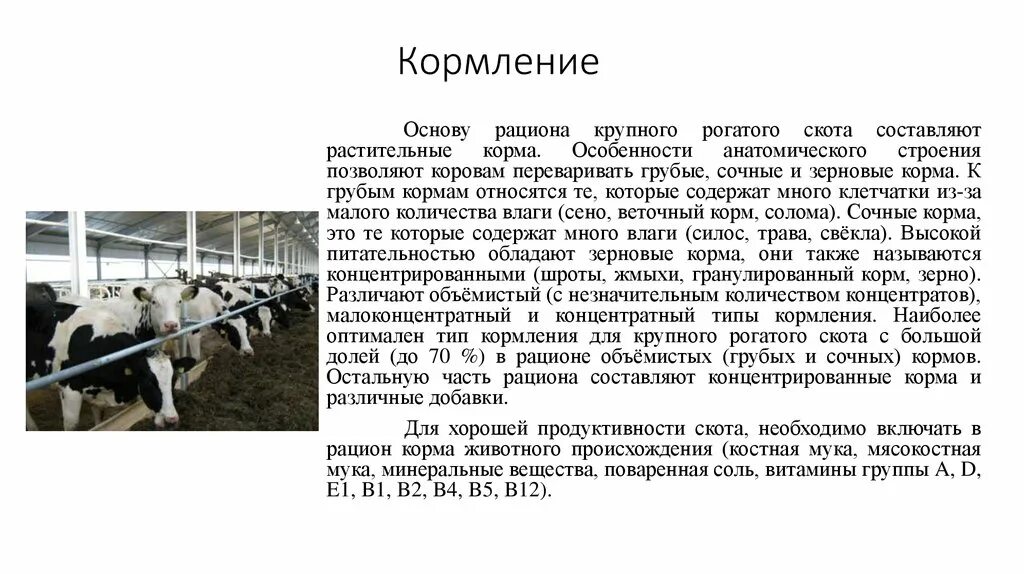 Технологические процессы содержания животных. Типы кормления КРС. Кормления и содержания КРС на ферме. Порядок кормления КРС. Условия содержания крупного рогатого скота.