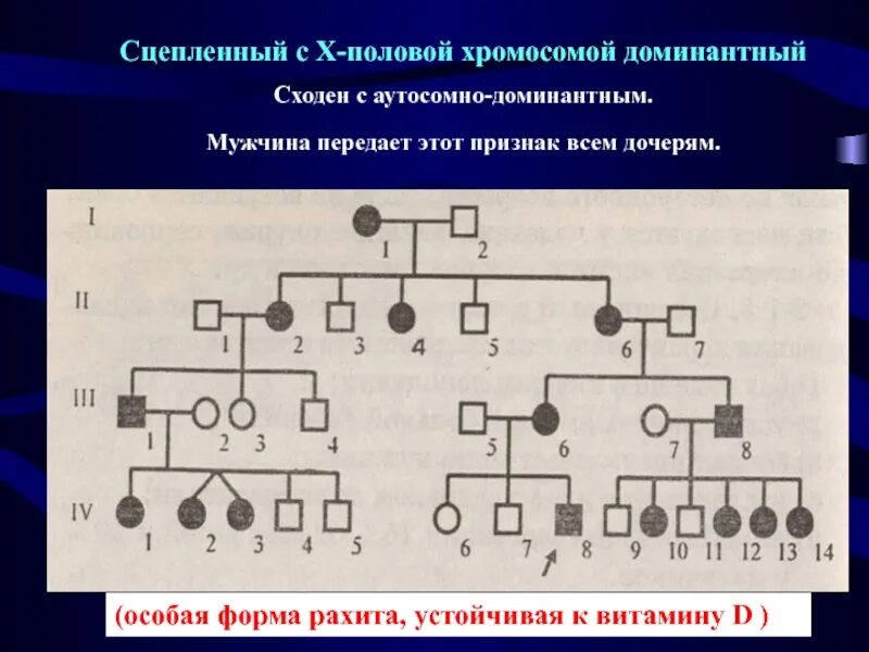 Доминантный сцепленный с х хромосомой заболевания. Сцеплен с х хромосомой доминантный. Аутосомно. Аутосомно-рецессивный Тип наследования. Разница х сцепленный и аутосомно-доминантный.