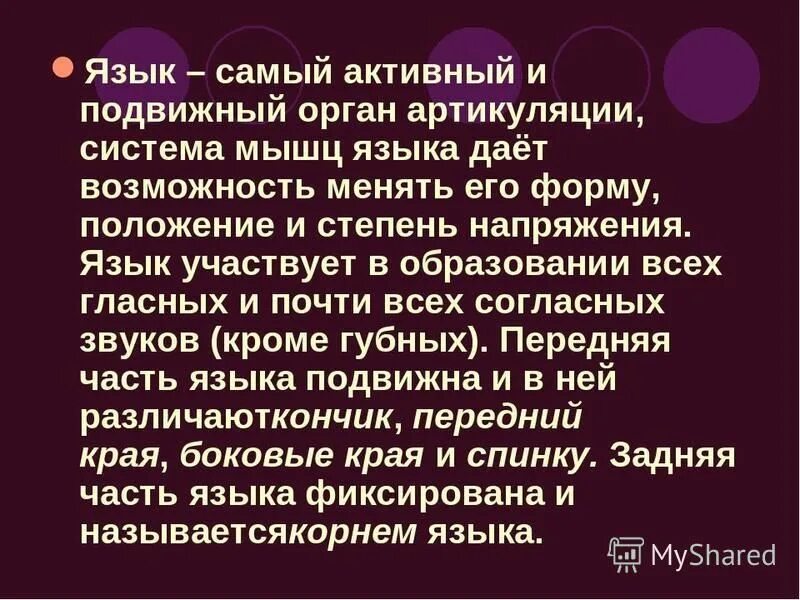 Стих как беден наш язык. Морфологическая классификация языка. Подвижное ударение примеры. Фиксированный язык. Типы языков.