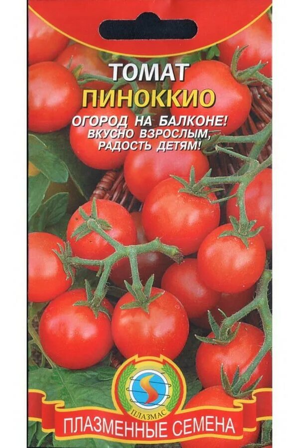 Томат пиноккио характеристика и фото. Черри пиноккио. Томат пиноккио седек. Томат пиноккио характеристика и фото. Сорт черри пиноккио томат.