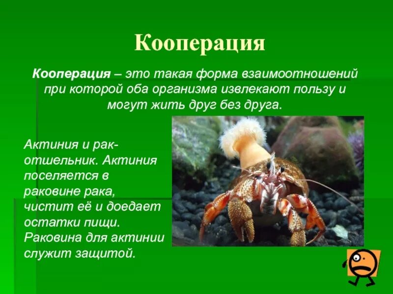 Кооперация с другими