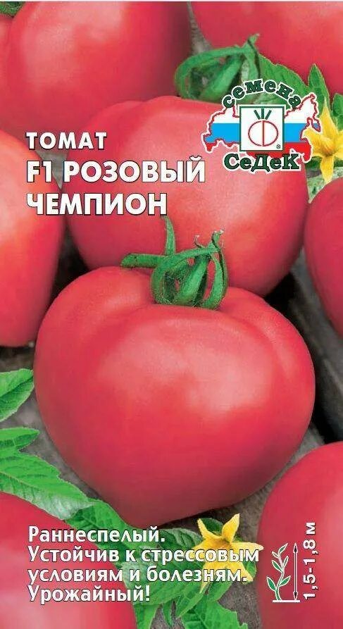 Пинк чемпион томат. Розовый чемпион f1 15шт томат. Розовый чемпион томат отзывы f1 описание. Помидоры pink champion. Помидор китайский розовый.