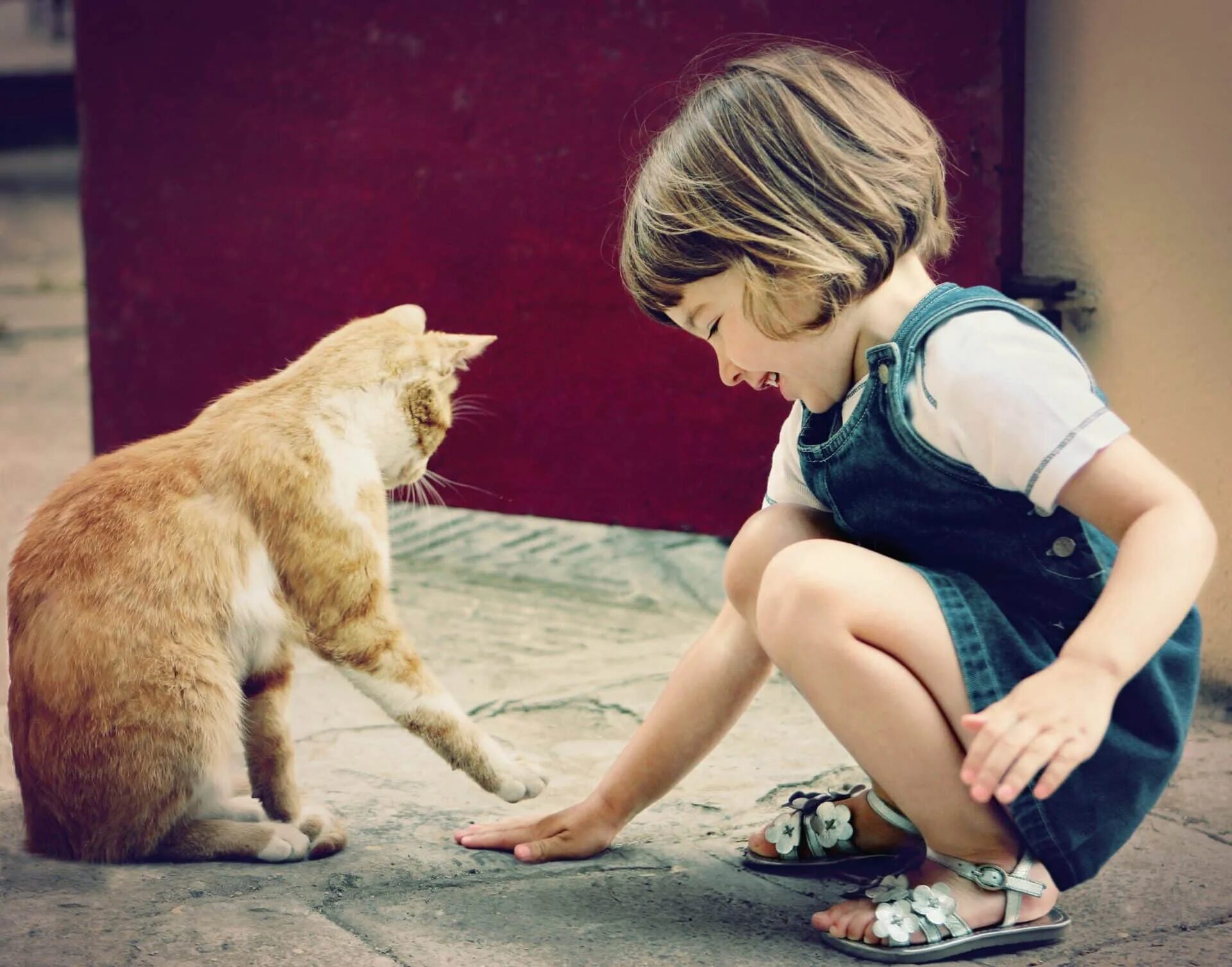 Kindness to animals. Для детей. Животные. Люди и животные. Кот для детей. Домашние животные для детей.