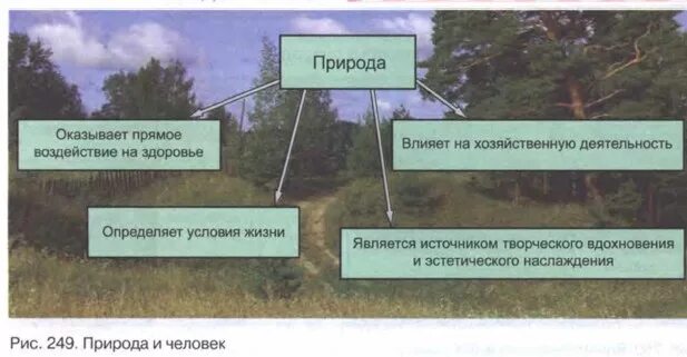 Влияние хозяйственной деятельности на природу. Природные условия и человек. Влияние природных условий на человека. Влияние хозяйственной деятельности человека на природу.