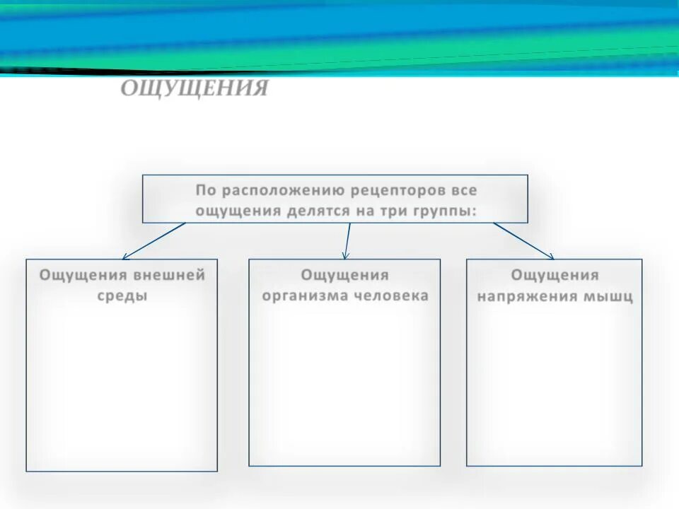 Делятся на три группы 1. Три группы ощущений. Ощущения делятся на. Ощущения по расположению рецепторов. Виды ощущений по расположению рецепторов.