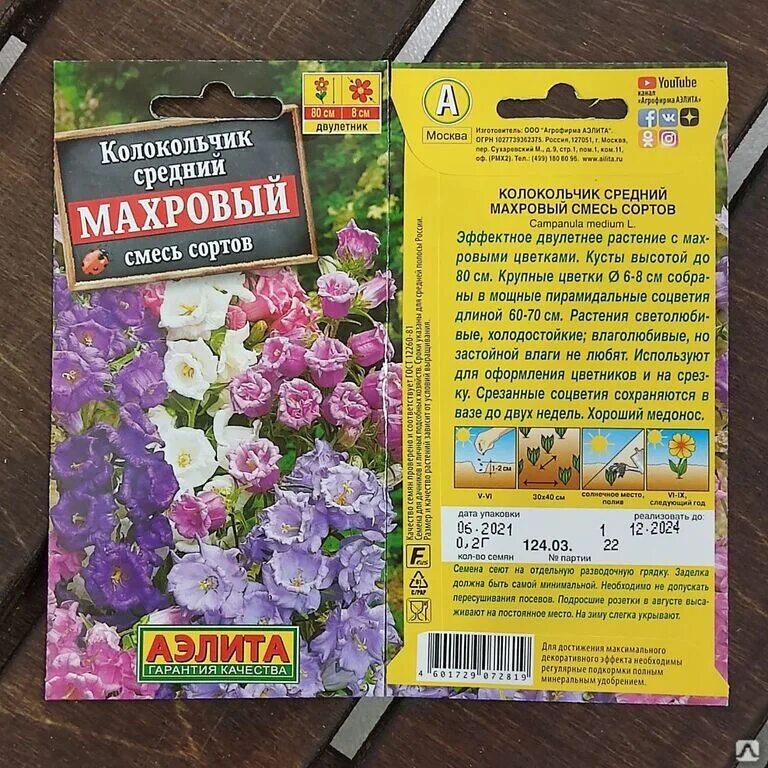 Семена колокольчика махрового. Кампанула махровая семена. Семена колокольчик махровый. Колокольчик махровый смесь. Колокольчик средний махровый смесь сортов.