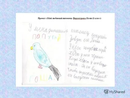 Рассказ о питомце 1 класс