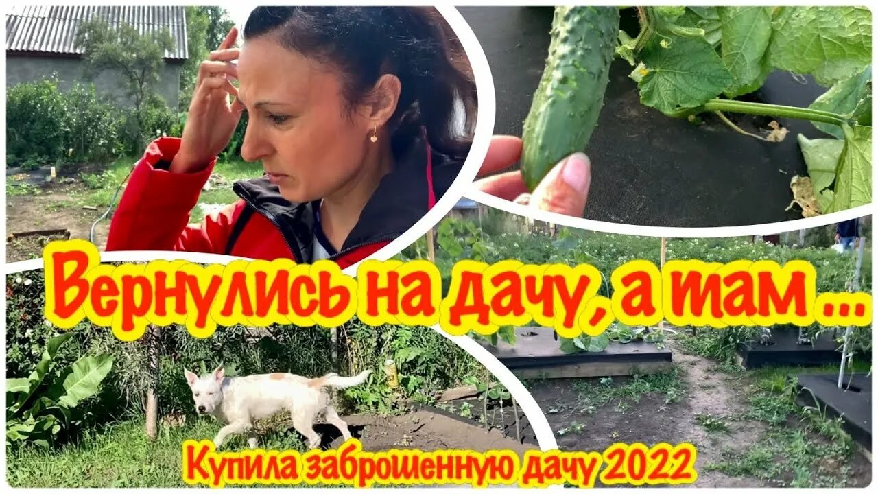 Прикол приезжай на дачу. Приехали на дачу. Приехали на дачу. Приехали на дачу зимой. Друг сказал что это грядки.