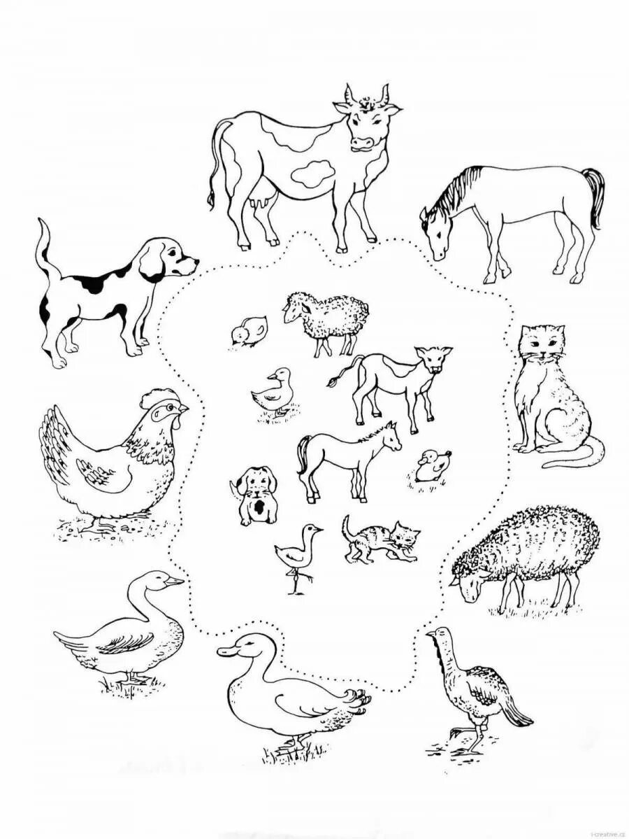 Раскраска группы животных. Животные задания для дошкольников. Раскраски. Животные. Рисунки животных для детей. Раскраски животные для детей.