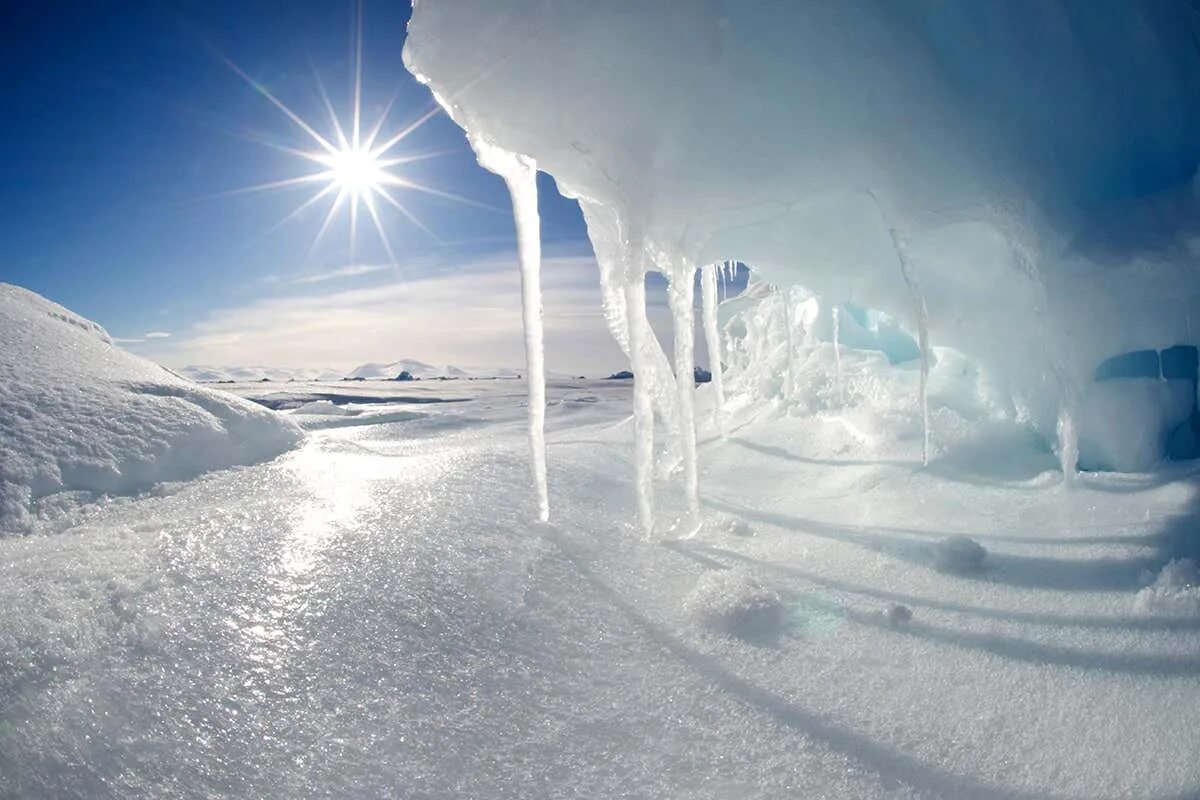 Арктика снег. Снег и лед. Полярный снег. Антарктида снег.