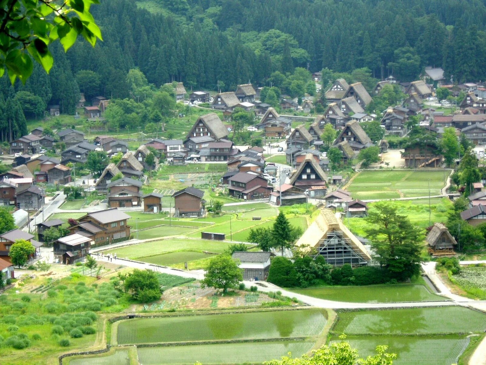 Here village. Япония Хинамидзава. Сиракава Хинамидзава. Сиракава-Сэнсэй. Сиракава го цикады.