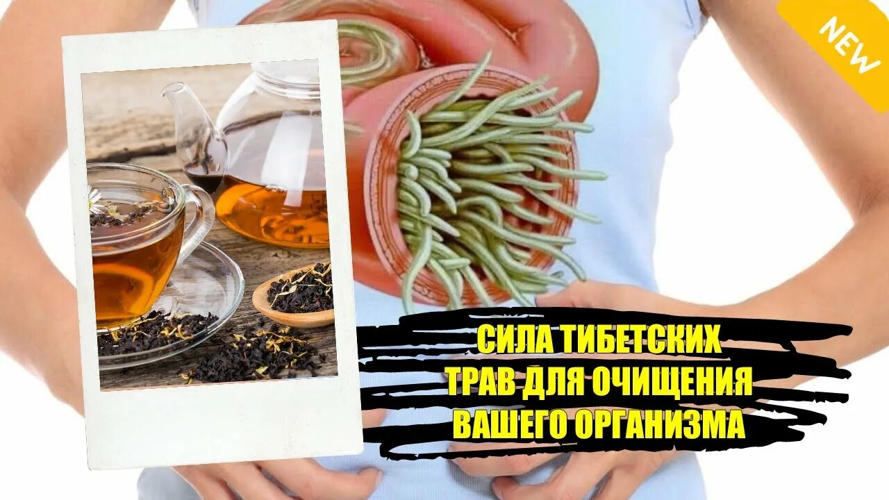 Очищение от паразитов. Очищение организма от паразитов. очищаемся от паразитов!. чистка организма от паразитов народными. питание от паразитов.