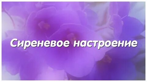 Цвет настроения сценарий