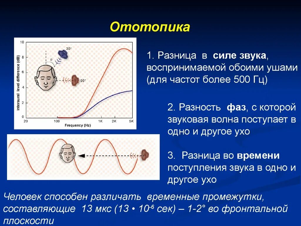 Исследование бинаурального слуха. Органы слуха человека воспринимают звуковые волны с частотой. Ототопика. Акустические параметры звуковой волны методы исследования.