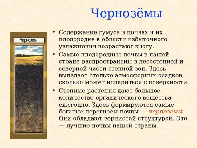 Содержание гумуса в черноземах. Черноземные почвы. Мерзлотно-Таежные почвы. Гумус почвы. Почвы формируется в условиях избыточного увлажнения