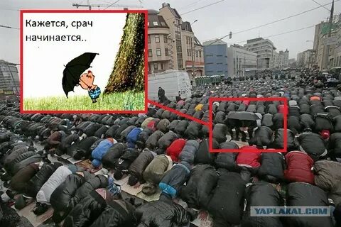 Включи срач