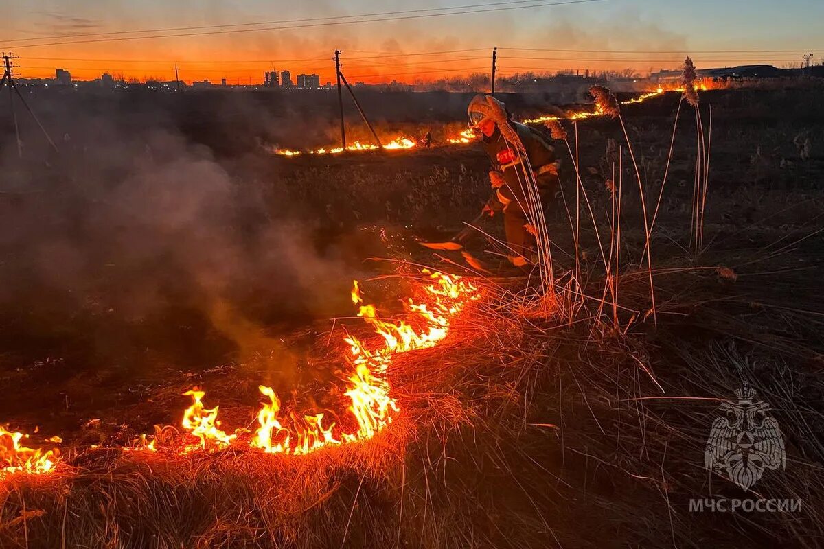 Горит пал. Пожар травы. Очаг пожара. Горящая трава. Сжигание сухой травы.