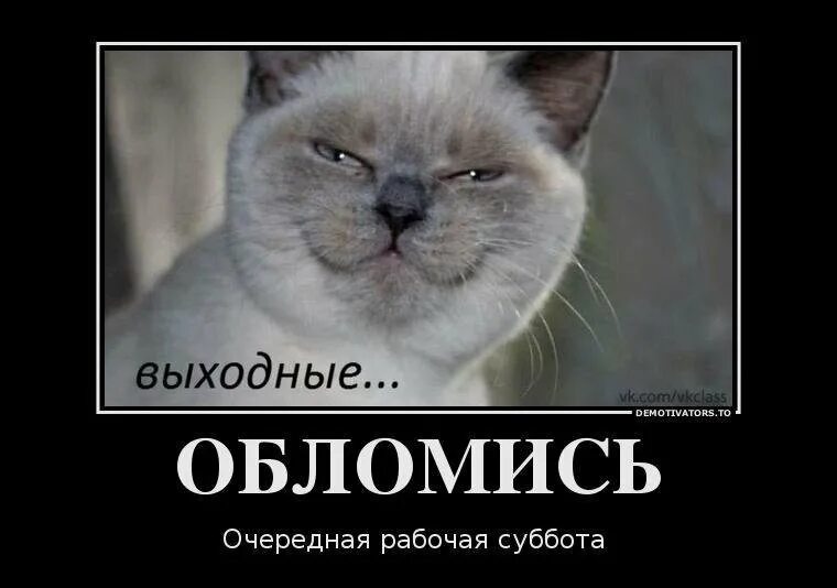 Работа выходные суббота. Мотиваторы на работу смешные. Работать в субботу цитаты. Про работу в субботу прикольные. Рабочая суббота картинки смешные.