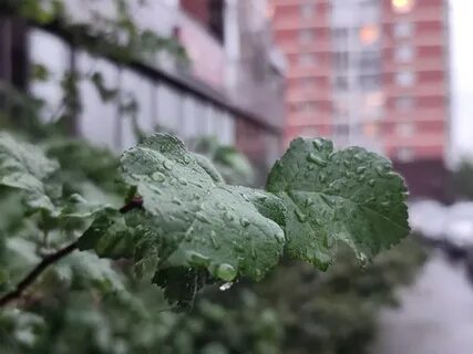 Ветер в иркутске сегодня
