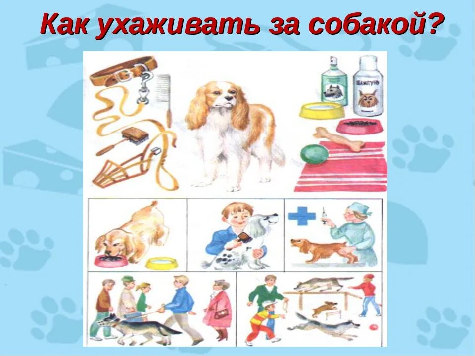 Виды работы по уходу за домашними животными