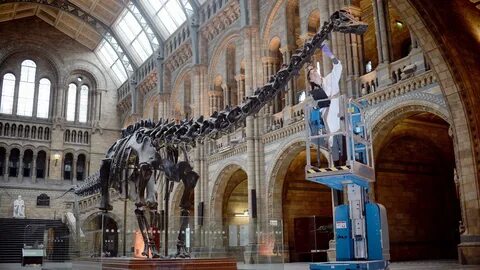 Dippy the Diplodocus' UK tour venues released ITV News.