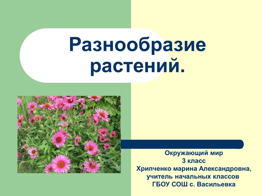 Как сохранить разнообразие растений. Разнообразие растений. Презентация на тему цветы. Разнообразие цветов. Разнообразие растений окружающий мир.