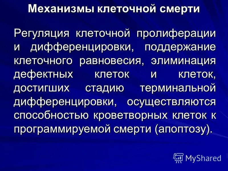 понятие о пролиферации. клеточные механизмы регуляции онтогенеза. пролиферация и апоптоз клеток. пролиферирующие клетки это. пролиферация воспаление.