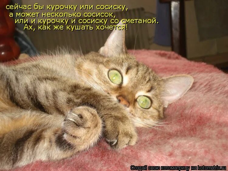 ах ка. ба бог древнего египта. душа египет. ка египетская мифология. даррен макнамара ае86.