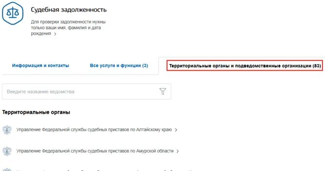 Должник по алиментам госуслуги. Как проверить на госуслугах задолженность по алиментам. Задолженость по алимпнтаи через госсу. Задолженность по алиментам на госуслугах. Алименты в госуслугах задолженность.