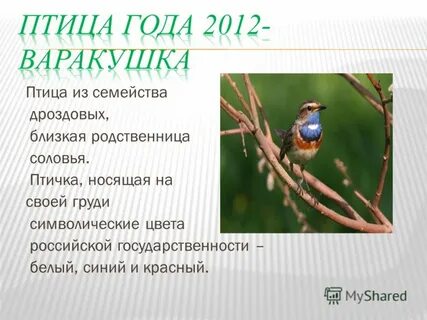 Какая птица носит название фрукта
