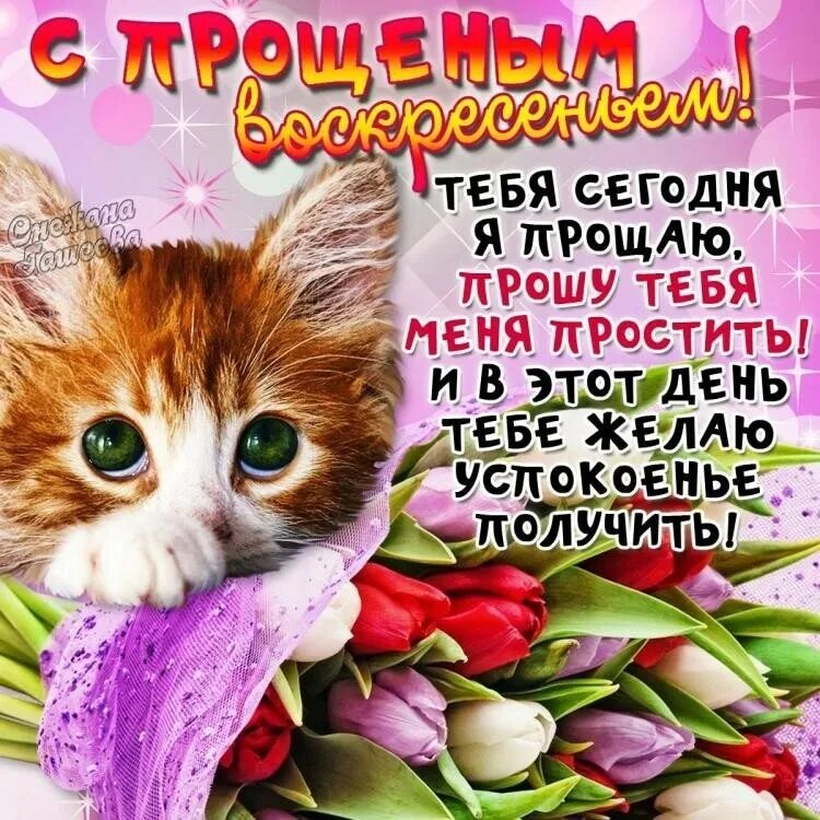 Попросить прощения в прощенное воскресенье своими словами. С прощенным воскресеньем. прощенное воскресенье поздравления. открытка спрощённым воскресеньем. открытки с прощенным воскре.