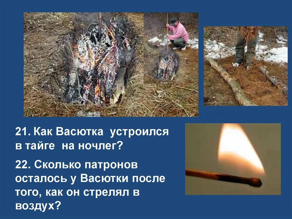 Сколько километров от дома был обнаружен васютка. Васютка в тайге. сколько провёл васютка в тайге. как васютка попал в тайгу. сколько дней провел васютка в тайге.