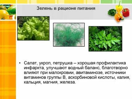 Витамины в зелени