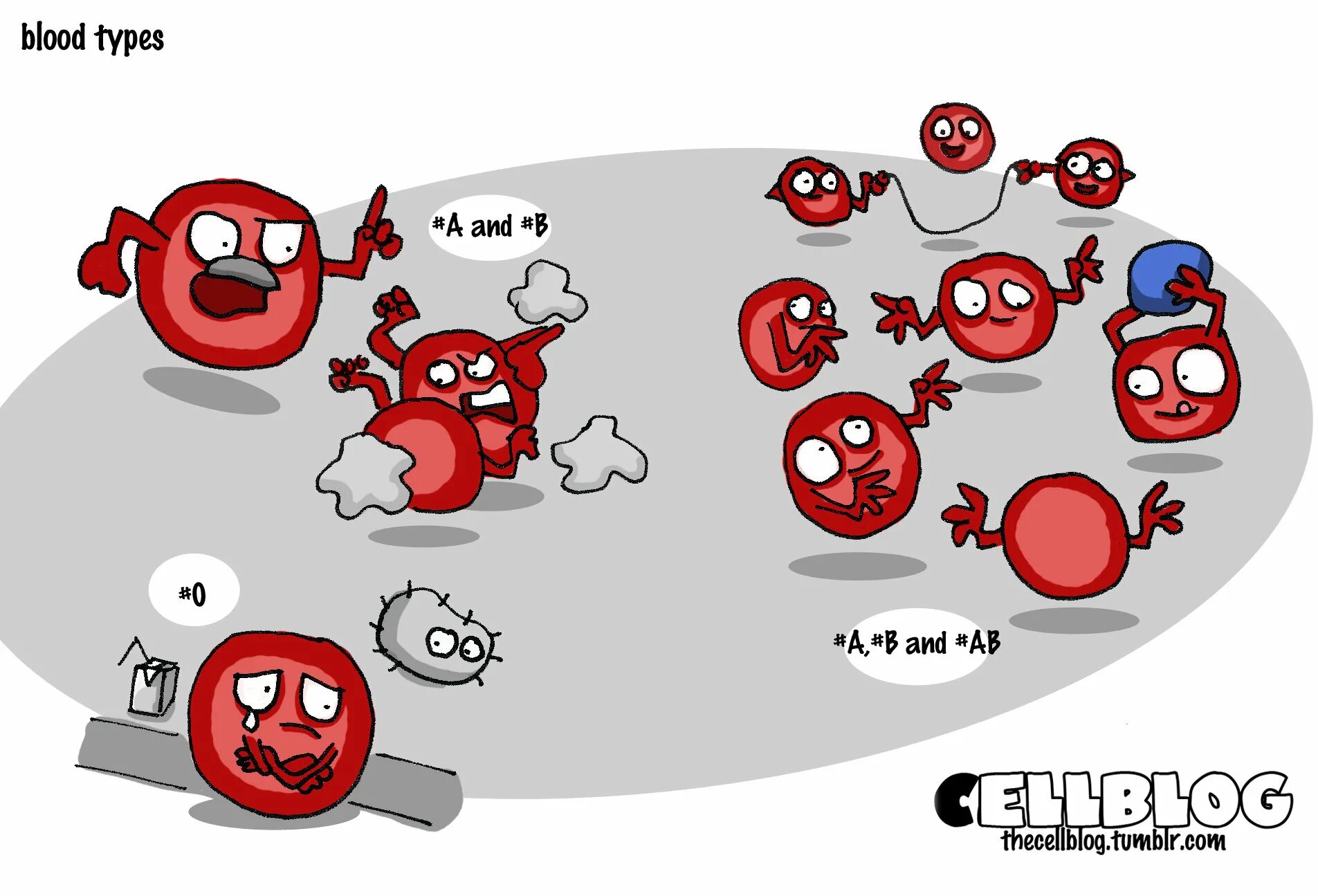 Типы группы крови. Abo blood group. Эритроцитарных антигенов и антител системы резус. Блуд виды. Блуд виды.