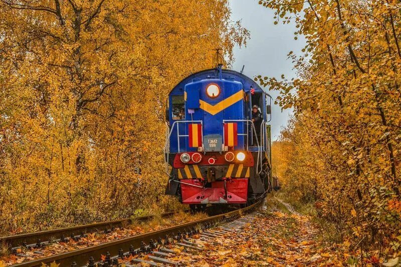 Beauty by Rail Autumn scenery, Railroad tracks, Scenery