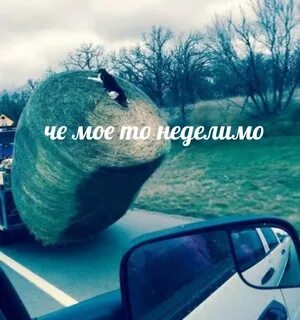 There seems to be