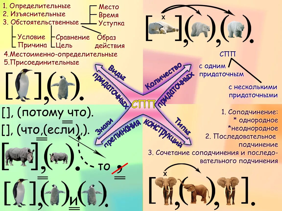 Интеллект русский язык. Интеллект карта сложноподчиненные предложения. интеллектуальная карта сложноподчиненное предложение. интеллект карта сложное предложение. ментальная карта предложения.