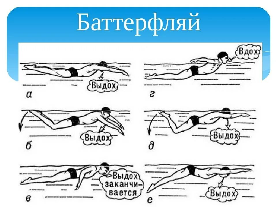 Самостоятельно научиться плавать в бассейне взрослому человеку. Техники плавания Баттерфляй. Баттерфляй плавание техника. Техника плавания брассом пошагово. Баттерфляй стиль плавания схема.