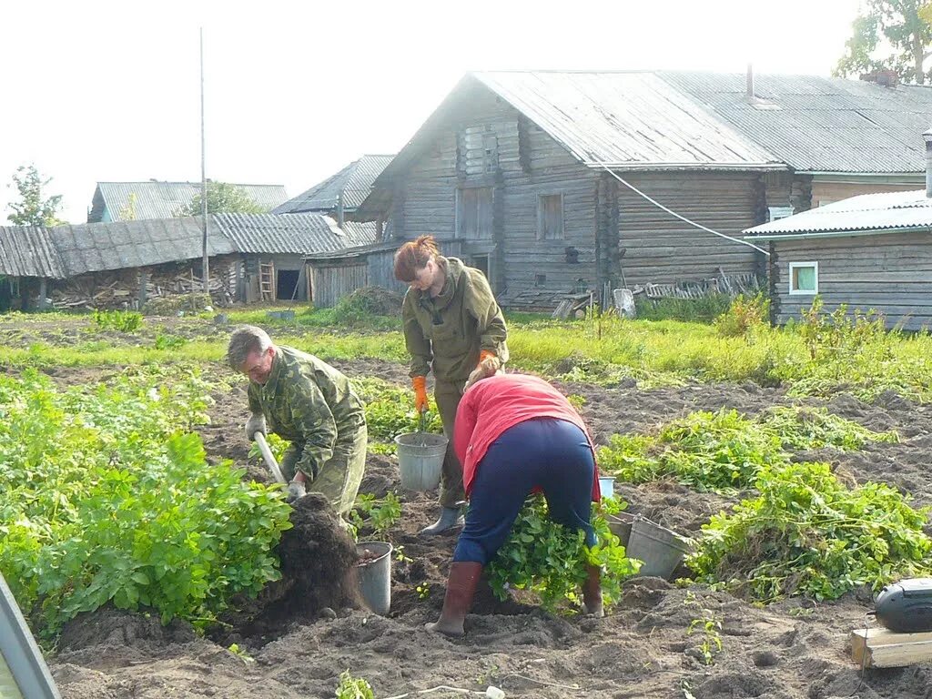 Г красноборск архангельская область. Погода на 10 дней в красноборске архангельской. Погода на 10 дней в красноборске архангельской. Г красноборск архангельская область. Погода на 10 дней в красноборске архангельской.